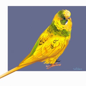 Gelber Papagei Wellensittich Wand Kunst, Handgezeichnete digitale Illustration, Poster Download, Vogel Poster Download, Vogel Dekor für Haus & Kinderzimmer, Nicht KI