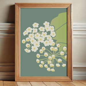 Zimmerpflanze Kunstdruck, Hoya Blume signierter Kunstdruck, trendige Wandkunst, Zimmerpflanzendekor, Retro Wandkunst, botanische Kunst, grüne friedliche Kunst
