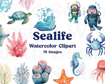 Watercolor Sealife Clipart: Undersea Animals, Coral Reef (PNG Digital Download)