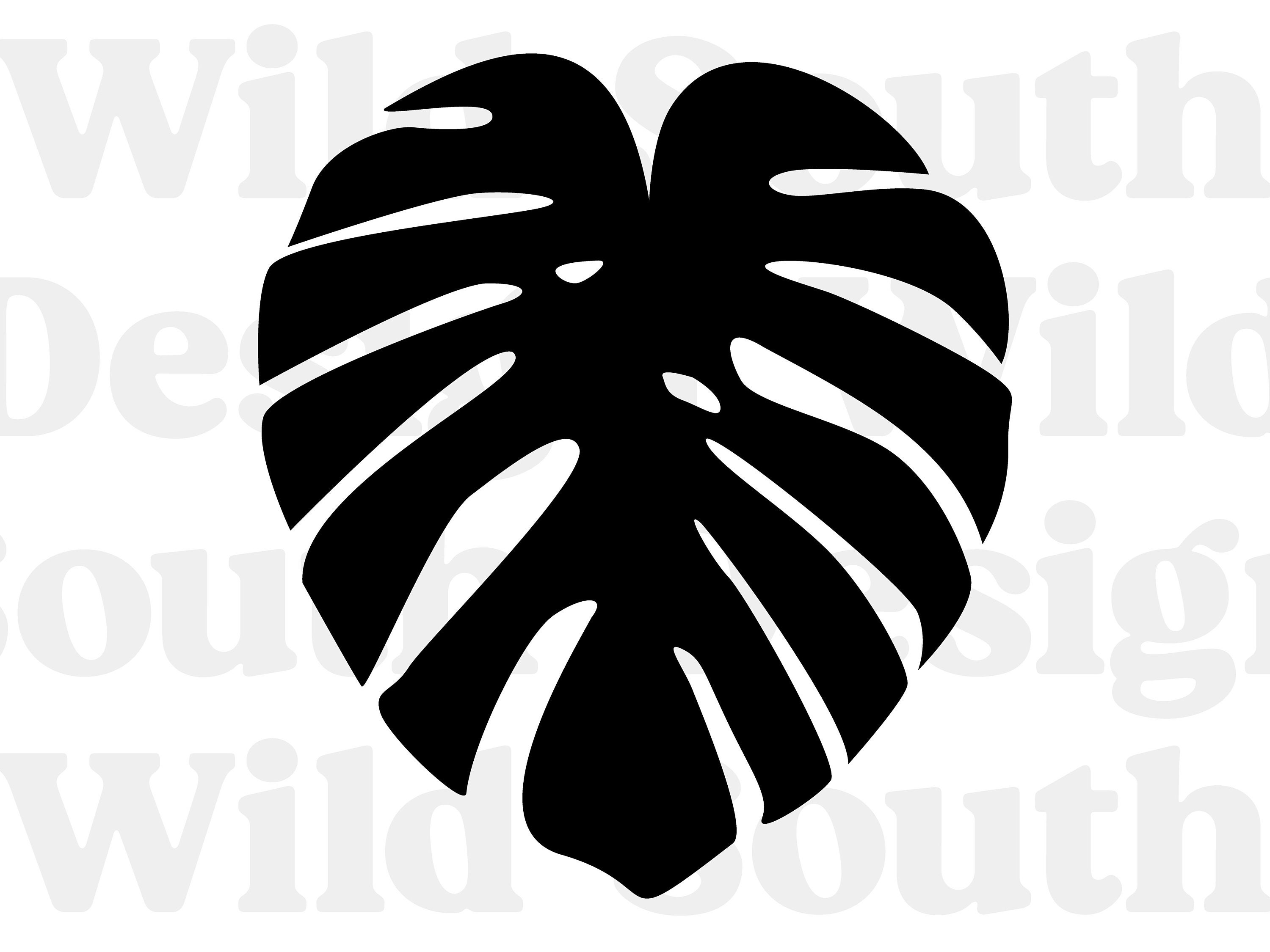 Monstera Vector Illustration Digital Download - SVG DXF - Etsy