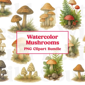 Aquarell Pilze Clipart - süße Wald Natur Clipart, PNG-Format, Instant Download, digitale Clipart, Wald launisch