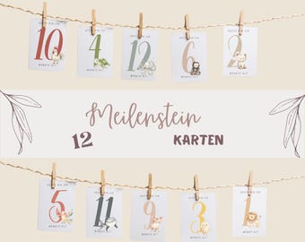 12 Baby Mijlpaal Kaarten - Maandkaarten 0-12 - Baby Fotoshoot - Geboortecadeau - Het eerste jaar van de baby - Dieren - PDF
