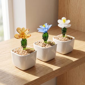 Glazen cactusbloempot, mini succulent bureaudecor, leuk cadeau plantenliefhebber, cadeau voor haar