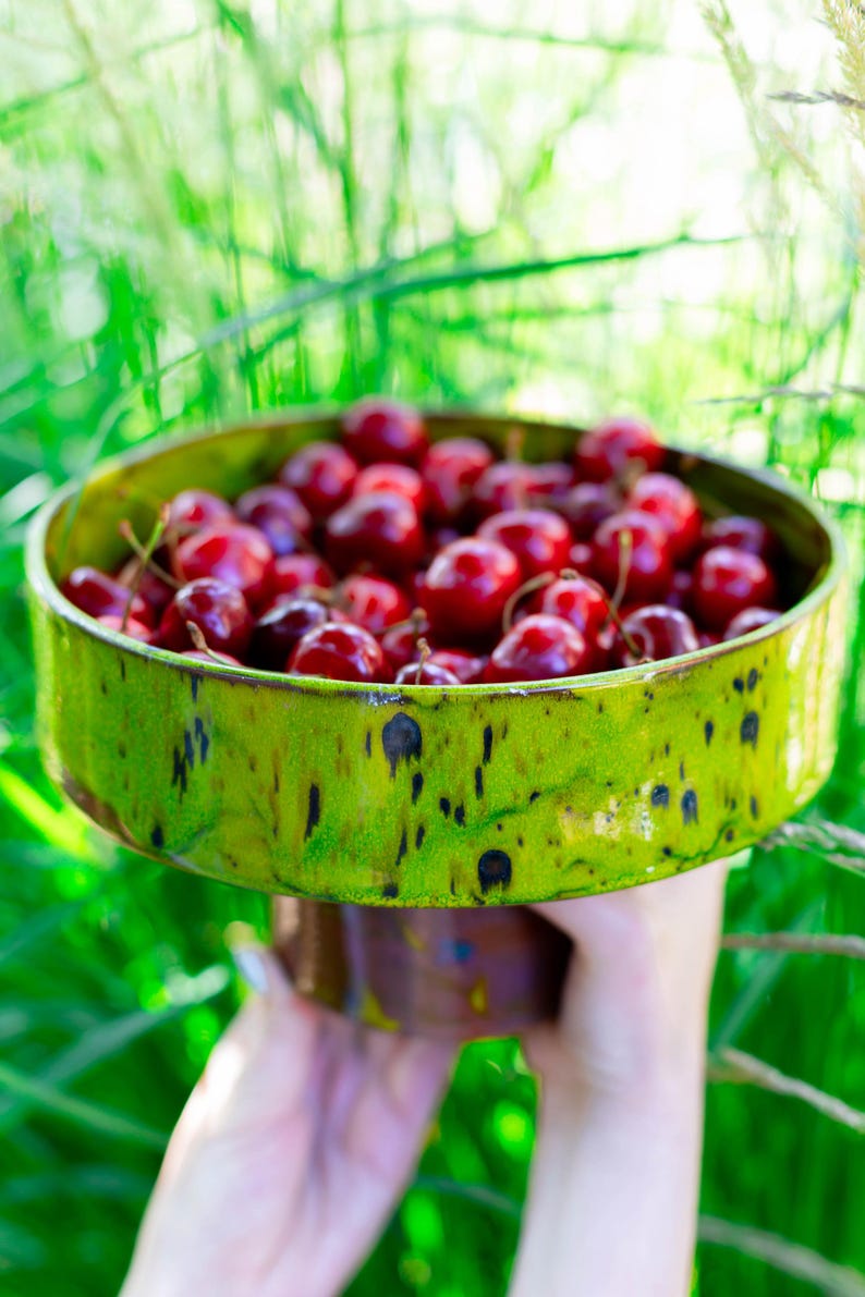 May include: A bowl of ripe, red cherries, held against a backdrop of green foliage. The bowl is a vibrant green with a speckled design. The cherries are glossy and appear fresh.