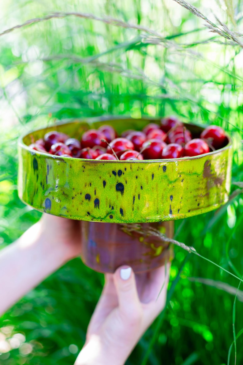 May include: A ceramic serving dish in shades of green and brown, brimming with ripe red cherries. The dish is held up against a backdrop of green foliage. The cherries are a tempting summer treat.