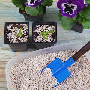 La perlita de 1 litro es un producto con aplicaciones versátiles. Es ligera, porosa y químicamente neutra.