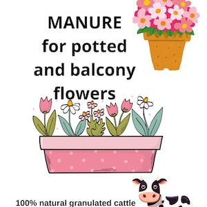 Puede incluir: Anuncio ilustrado de abono para flores en macetas y balcones. La imagen incluye una jardinera rosa con flores, una maceta de terracota con flores rosas y una vaca de dibujos animados. El texto dice "MANURE para flores en macetas y balcones".