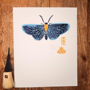 White-tipped Moth Original Print Handmade Moth Lino Block Print Insect Wall Print Butterfly Art Botanical Linocut Art for Home Blue Orange