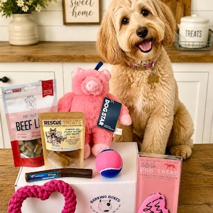 May include: A Barking Boxes gift set featuring a pink plush pig toy, a pink heart-shaped rope toy, a pink bone-shaped waste bag dispenser, a pink and blue tennis ball, a chicken chew, and various dog treats including beef liver and peanut butter.