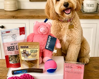 Barking Box for Dogs | Interactive Toy & Treat Set | Supports Dogs in Need