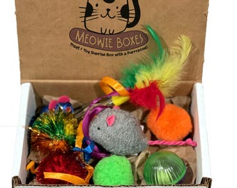 Foraging Fun Box for Cats | Interactive Toy & Treat Set | Supports Cats in Need