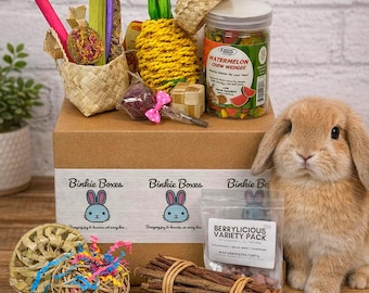 Bunny Enrichment Box—Pre-Made Summer Theme—Treats, Natural Chews, Foraging Toys