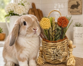 Bunny Forage Boxes