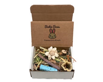 Rabbit Small Forage Box: Treat Sampler & Chew Toy Set