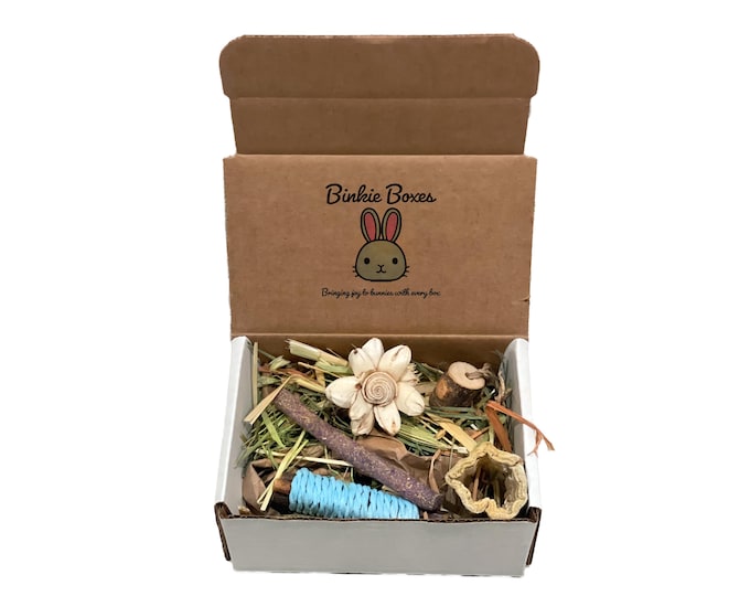 Featured listing image: Rabbit Small Forage Box: Treat Sampler & Chew Toy Set