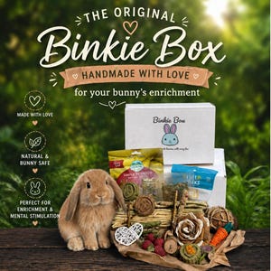 May include: A light brown lop-eared rabbit sits beside a white cardboard box labeled The Original Binkie Box. The box contains various pet treats, including Oxbow banana snacks, woven grass items, a wooden rose, and a small orange carrot toy.