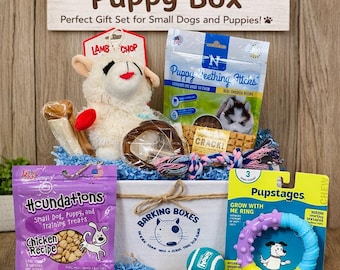 Puppy Toy & Treat Gift Box | Enrichment Surprise for New Pups