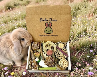 Binkie Bunny Foraging Box: Rabbit Treat Chew Assortment for Enrichment