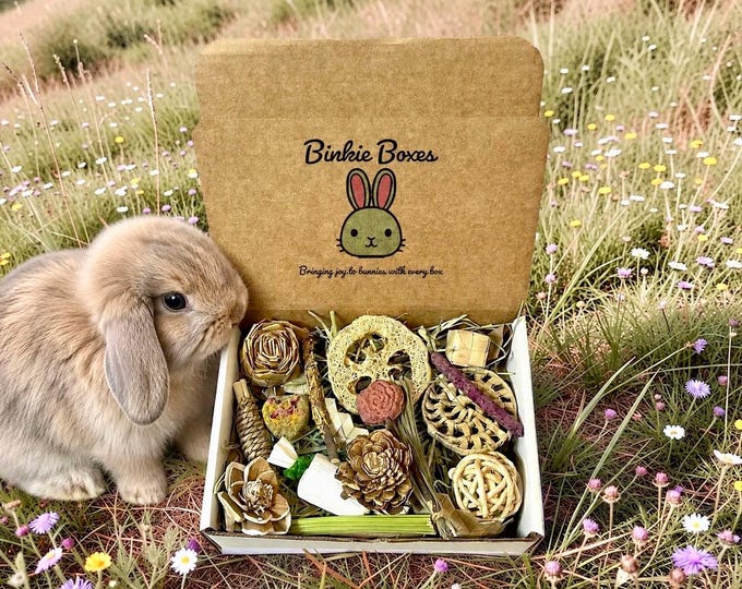 Featured listing image: Binkie Bunny Foraging Box: Rabbit Treat Chew Assortment for Enrichment