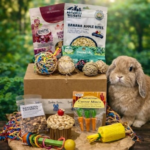 Rabbit Enrichment Box | Healthy Chews, Treats, Toys for Bunnies