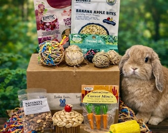 Rabbit Enrichment Box | Healthy Chews, Treats, Toys for Bunnies