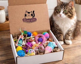 Kitty Meowie Boxes