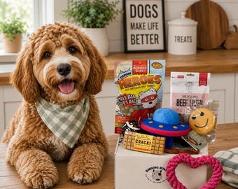 Barking Box for Dogs | Interactive Toy & Treat Set | Supports Dogs in Need
