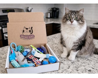 Cat Forage Toy | Treat Gift Box | Cat Enrichment Box | Catnip Toys & Healthy Treats | Kitty Gift Set | Supports Cats in Need