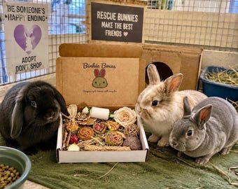 Donate a Bunny Binkie Box | Treats, Toys, Chews for Rescue Rabbits