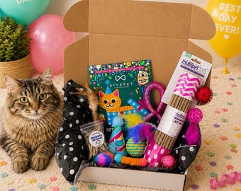 Kitty Meowie Boxes