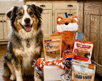 Bark Box for Dogs | Interactive Toy & Treat Set | Supports Dogs in Need