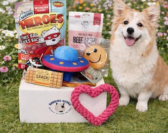Bark Box for Dogs | Interactive Toy & Treat Set | Supports Dogs in Need