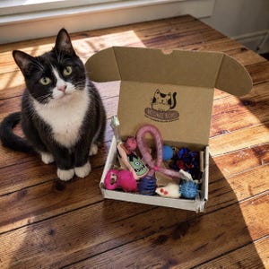May include: A black and white cat sits next to an open cardboard box filled with cat toys. The box is labeled "Meowie Boxes" and contains a variety of toys in pink, blue, and green. The cat looks directly at the camera.