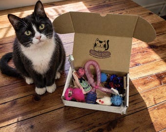 Mini Meowie Forage Box- Small- Cat Toy & Treat Set | Natural Curiosity Enrichment Foraging Fun