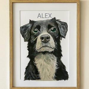 Custom Dog Portrait - Acrylic Pet Illustration, Personalized Pet Memorial Painting