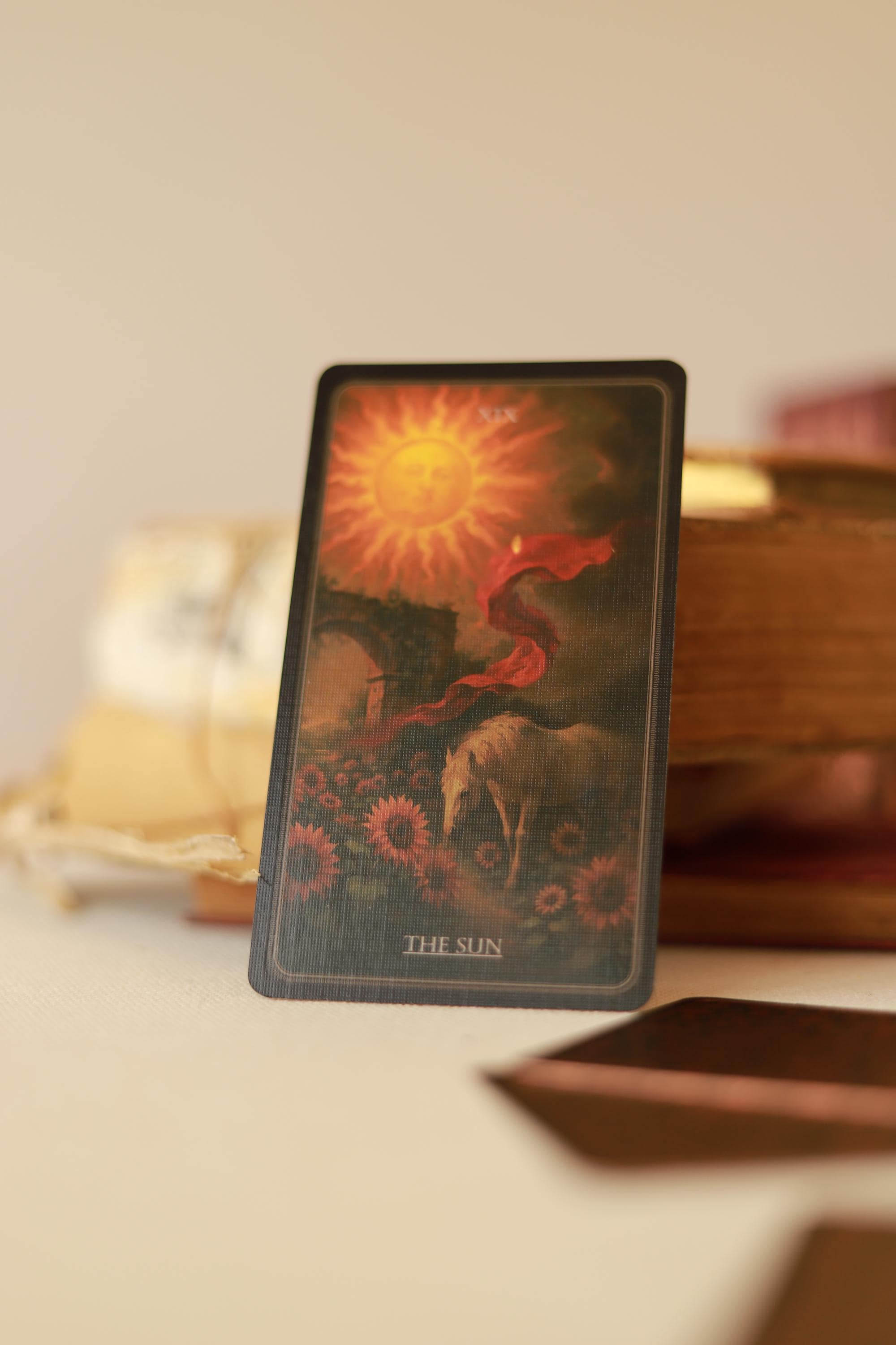 【超希少・正規品】The New Tarot Deck 完売品 激レア Arcana Nocturna - Limited Edition | Baroque Gothic Tarot Cards +