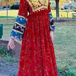 May include: A long, red dress with gold embroidery and embellishments. The dress features a V-neckline with yellow and gold detailing, blue and gold sleeves, and a decorative hem. The dress is worn outdoors in a park setting.