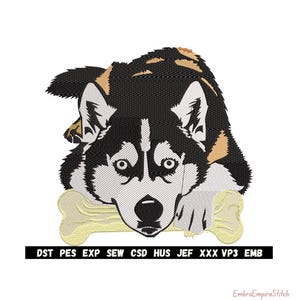 Puede incluir: Diseño bordado de un perro Husky con pelaje negro, blanco y canela, apoyando sus patas en un hueso amarillo. Los ojos del perro están abiertos y tiene una nariz negra. La imagen incluye el texto "DST PES EXP SEW CSD HUS JEF XXX VP3 EMB".
