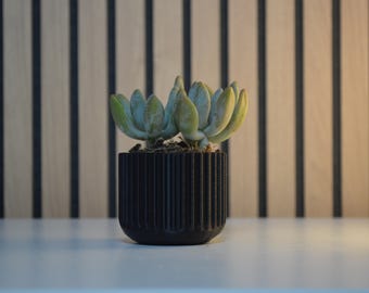 Mini Pot