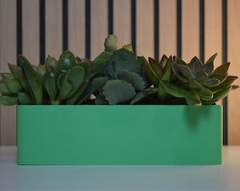 Modern Triple Succulent Planter: Minimalist Desk Decoration, Eco-Friendly Pot