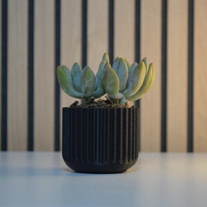 A small succulent plant with pale green leaves sits in a black, ribbed pot. The pot is on a white surface, with a wooden background of vertical light and dark brown stripes.