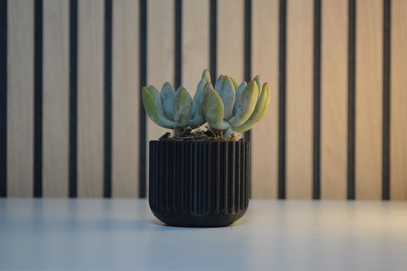 A small succulent plant with pale green leaves sits in a black, ribbed pot. The pot is on a white surface, with a wooden background of vertical light and dark brown stripes.