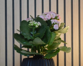 Modern Ribbed Planter Pot: Geometric Minimalist Succulent Vessel, Desk Plant Holder