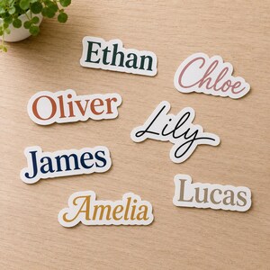 May include: A collection of seven die-cut vinyl stickers featuring the names Ethan in dark green, Chloe in dusty rose, Oliver in terracotta, Lily in black, James in navy blue, Amelia in mustard yellow, and Lucas in beige, all in various fonts.