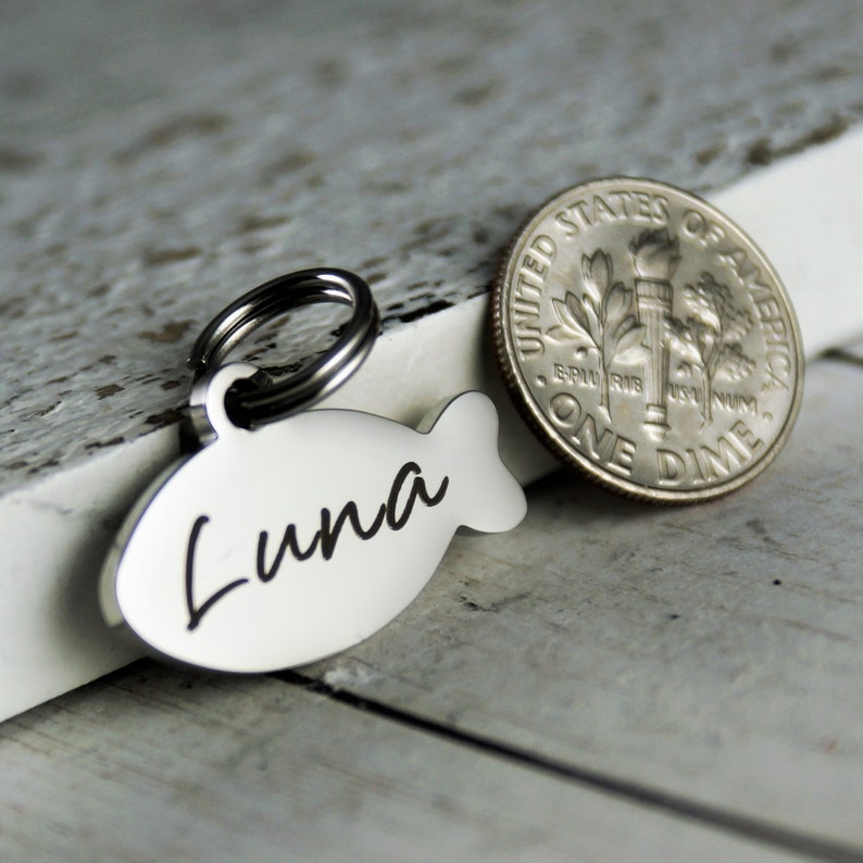 May include: A silver-colored pet tag in the shape of a fish, with the name "Luna" in black script. A US dime coin is next to the tag. The tag is attached to a silver split ring.