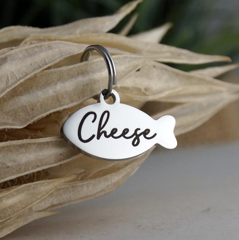 May include: A silver-colored, fish-shaped pet tag with the word "Cheese" in black script. The tag is attached to a silver ring. The background features dried, beige-colored leaves.