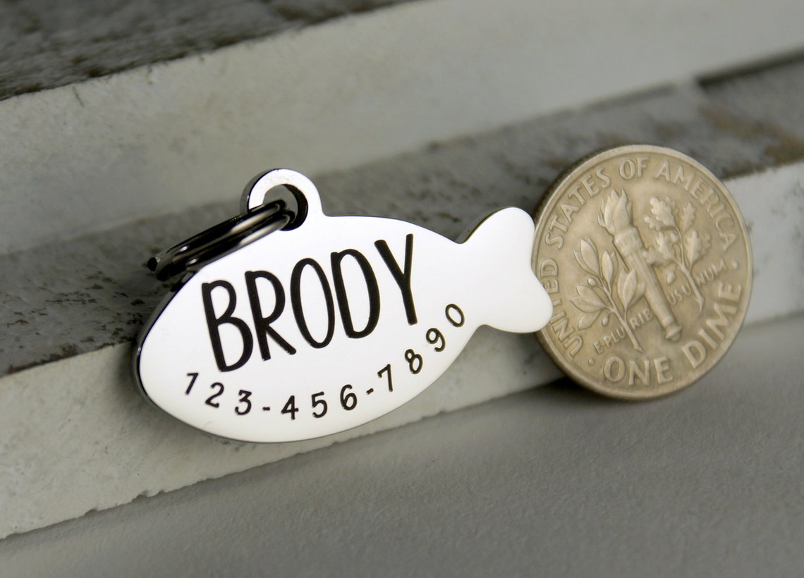 Cat ID tag with Cat Name Tag ID Tag for Cats Stainless Etsy
