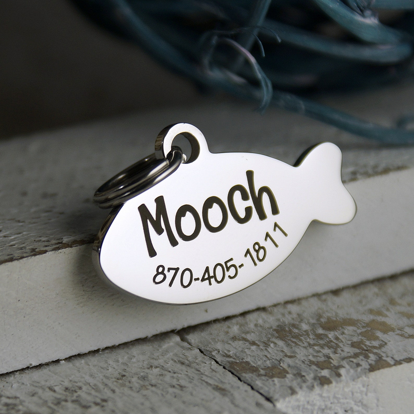 Cat ID Tag With Cat Name Tag ID Tag for Cats Stainless Etsy