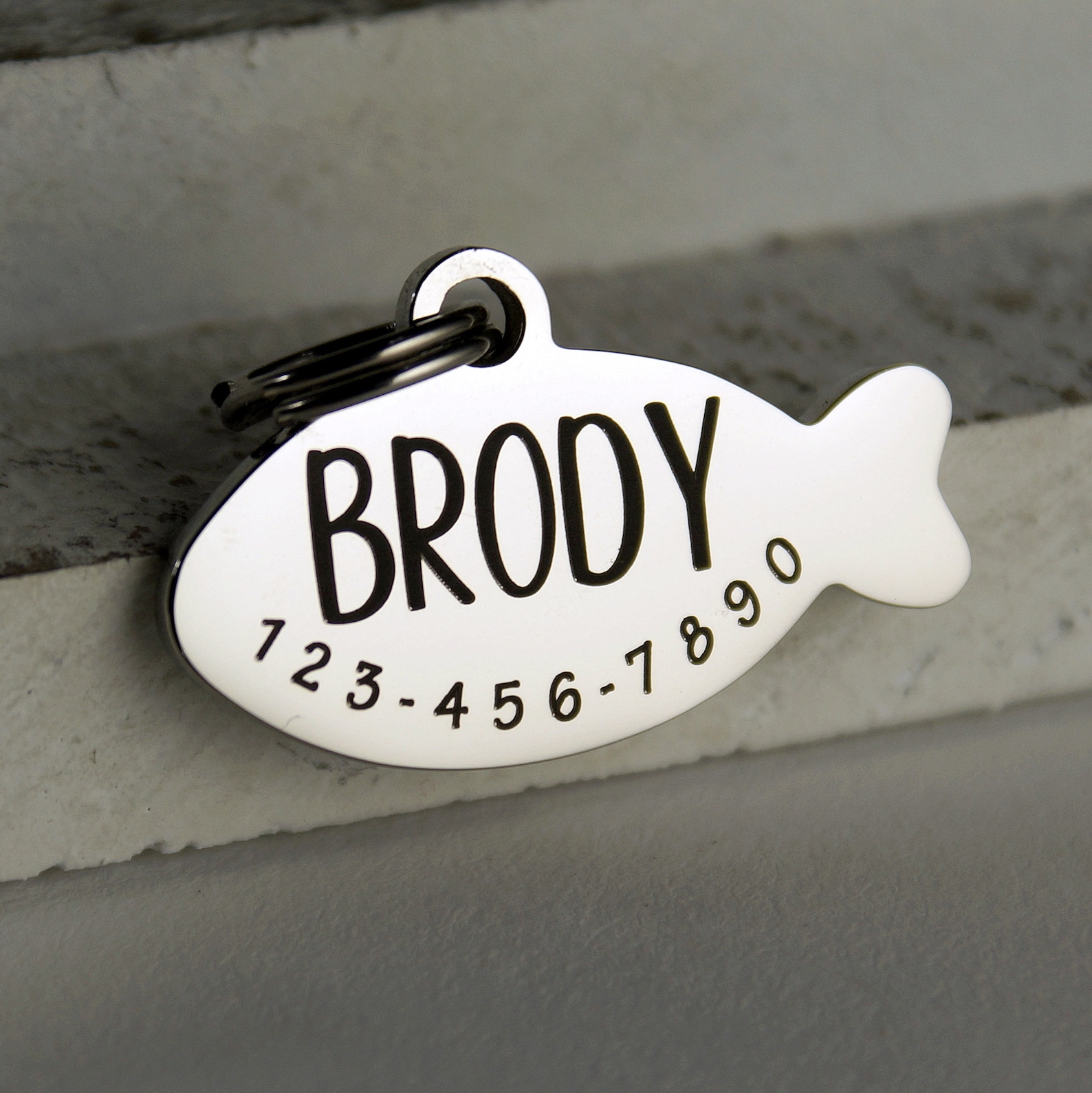 Cat ID tag with Cat Name Tag ID Tag for Cats Stainless Etsy