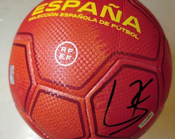 シャビ・アロンソがスペイン代表にサイン サッカー写真: 2010年